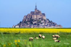 Paysage-N.-Cottin-1